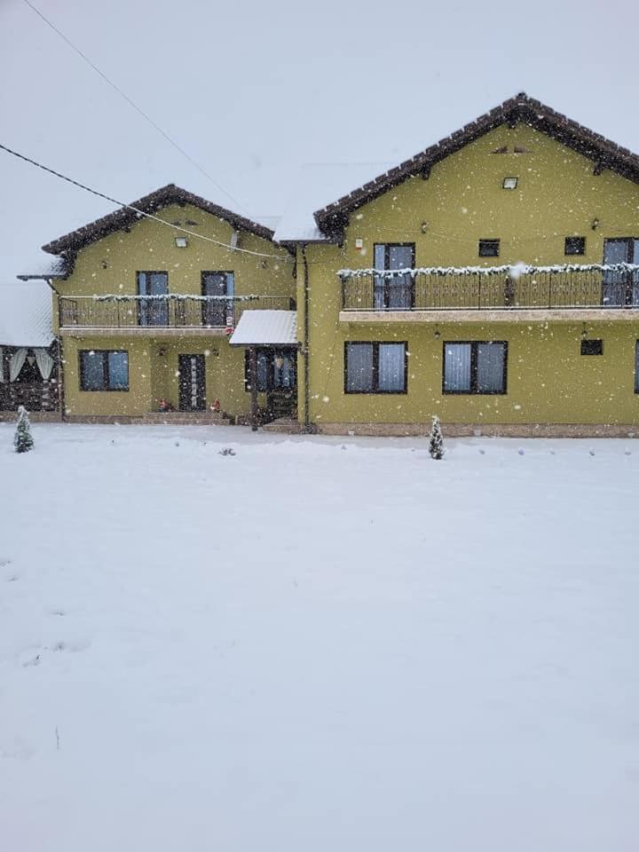 Casa Sofia Avrig Villa Bagian luar foto